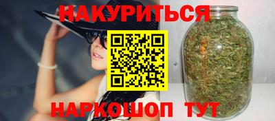 СК Новодвинск