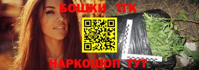 СК Новодвинск