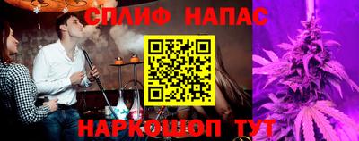 СК Новодвинск