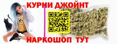 СК Новодвинск