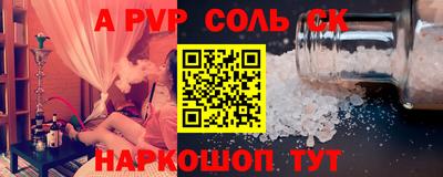 СК Новодвинск
