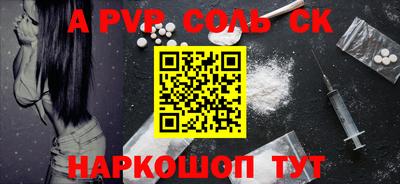 СК Новодвинск