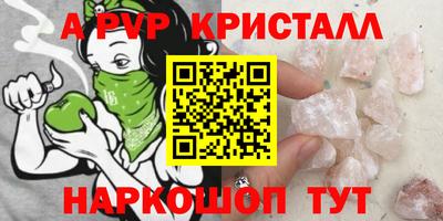 СК Новодвинск