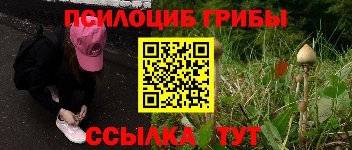 Псилоцибиновые грибы мицелий Среднеуральск